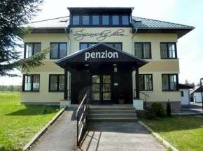 Penzion Švýcarský dům Jilove U Decina
